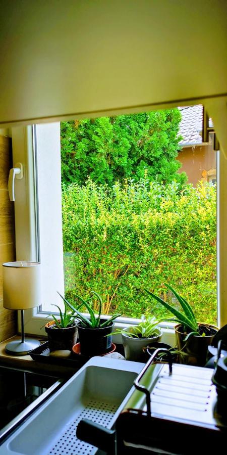 Arvalanyhaj Home Apartman แฮร์เซคาโลม ภายนอก รูปภาพ